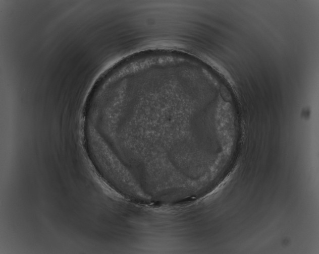 X0000095551029200801041326