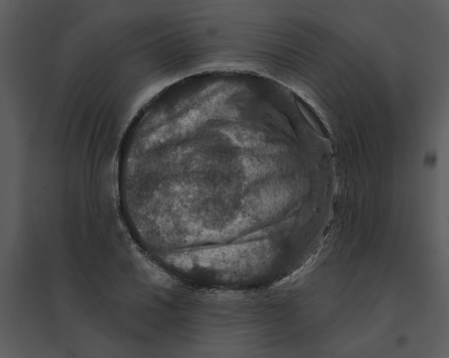 X0000095551030200801041326