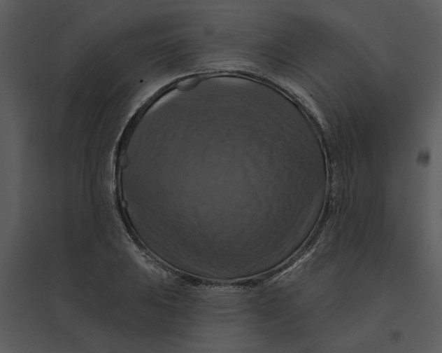 X0000095551031200801041326