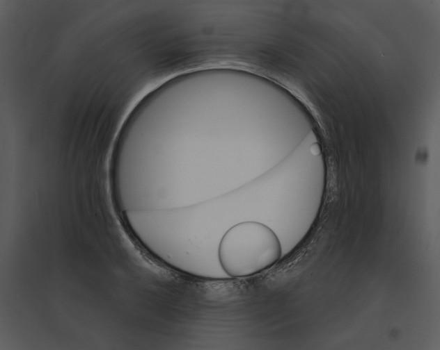 X0000095551032200801041326