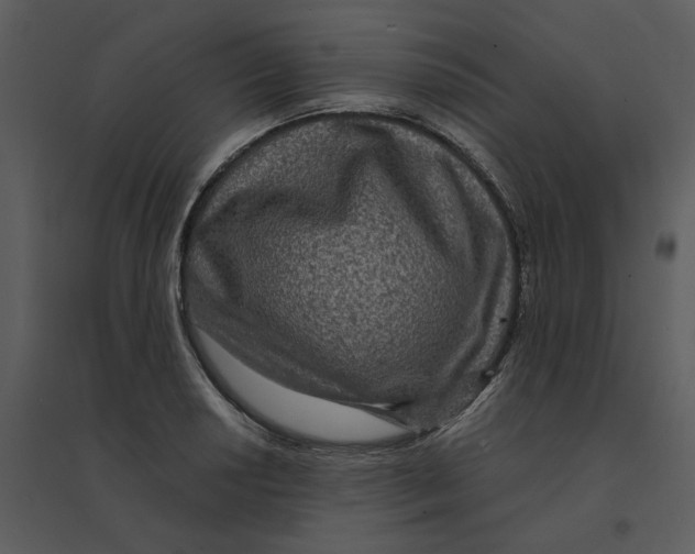 X0000095551034200801041326