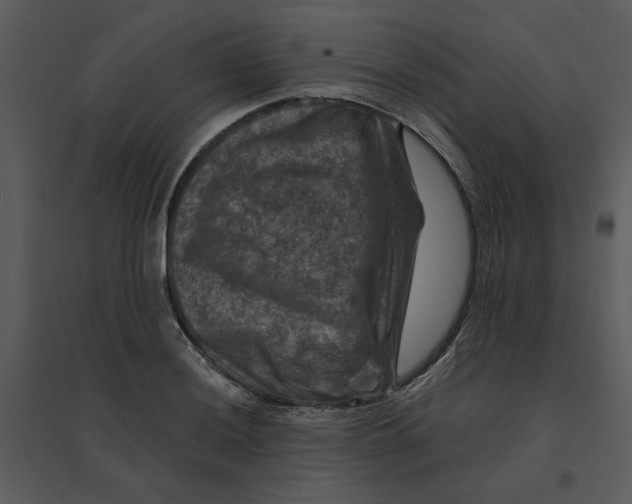 X0000095551036200801041326