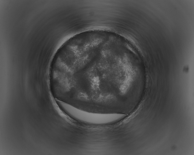 X0000095551038200801041326