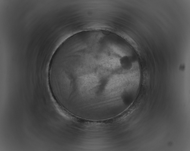 X0000095551039200801041326