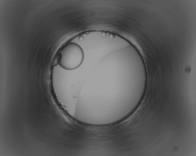 X0000095551040200801041326