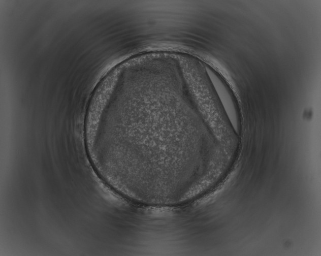 X0000095551041200801041326