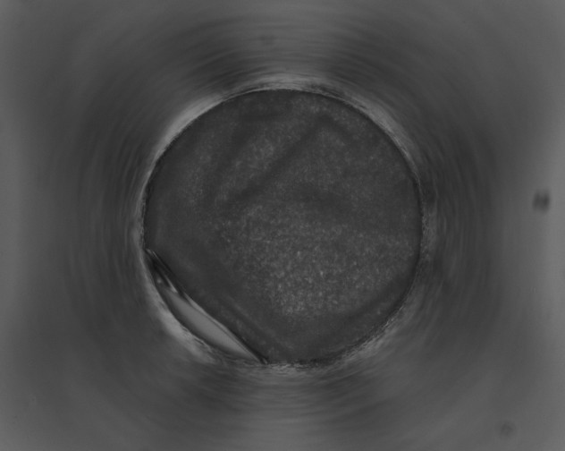 X0000095551042200801041326