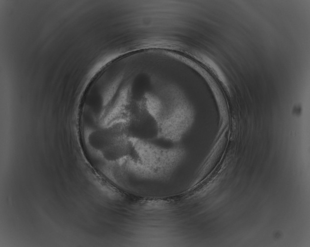 X0000095551043200801041327