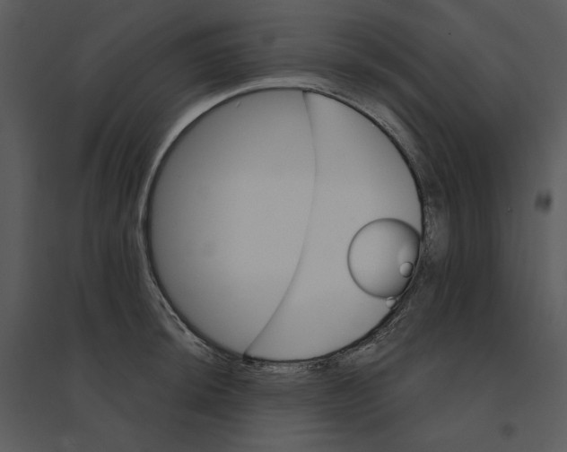 X0000095551044200801041327