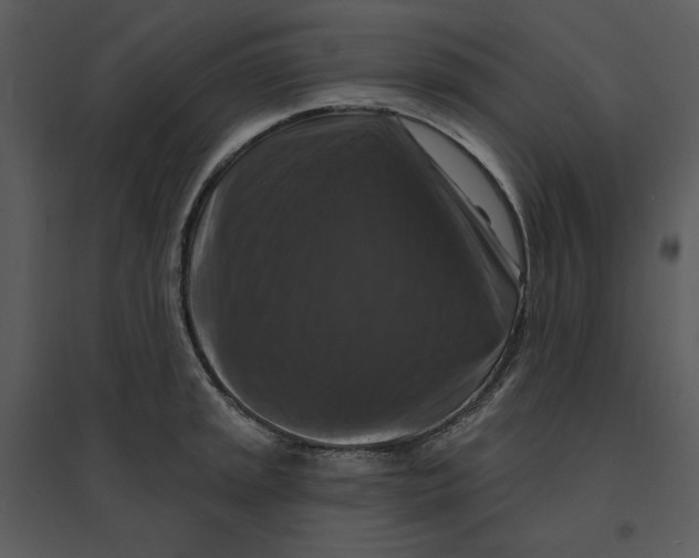 X0000095551045200801041327