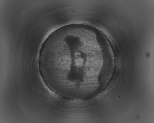 X0000095551046200801041327