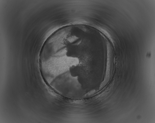 X0000095551047200801041327