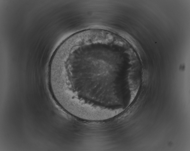 X0000095551048200801041327