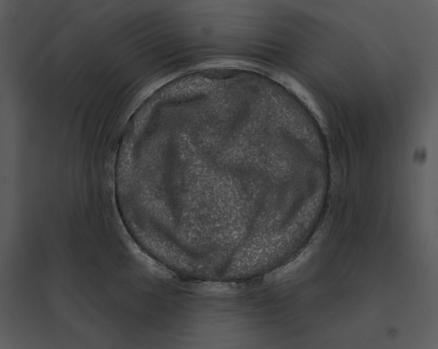 X0000095551049200801041327