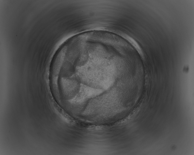 X0000095551051200801041327