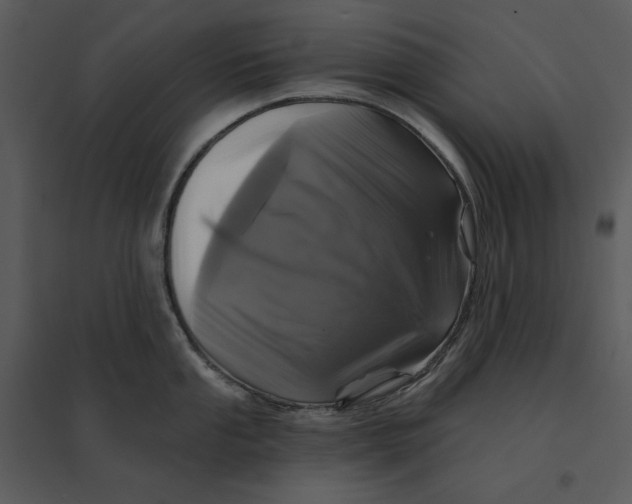 X0000095551053200801041327