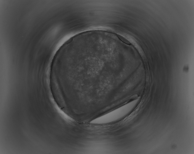 X0000095551054200801041327