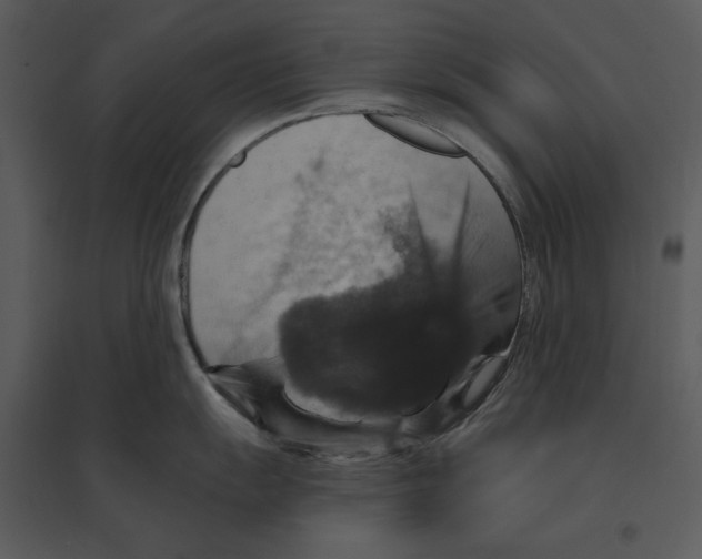 X0000095551055200801041327