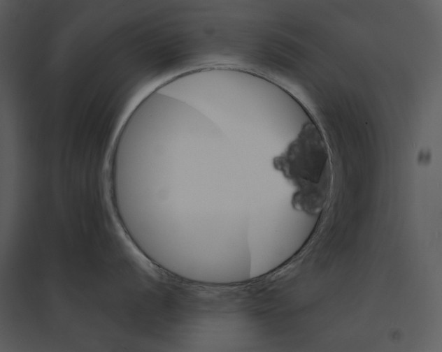 X0000095551056200801041327