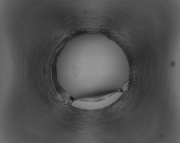 X0000095551057200801041326