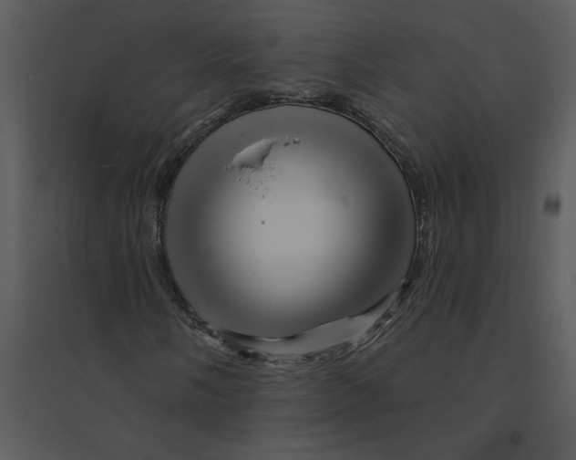 X0000095551058200801041326