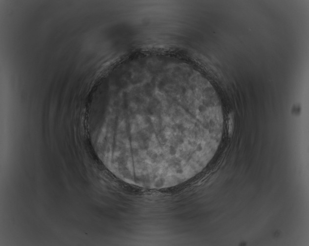 X0000095551059200801041326