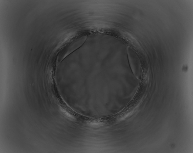 X0000095551060200801041326