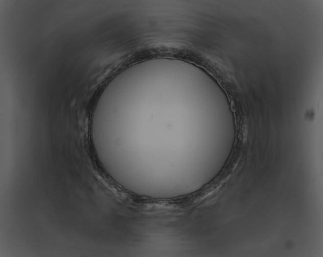 X0000095551061200801041326