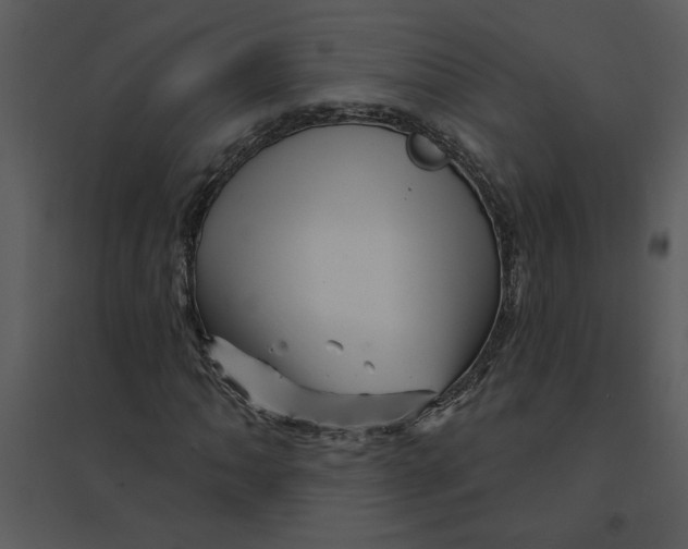 X0000095551062200801041326