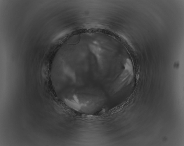 X0000095551063200801041326