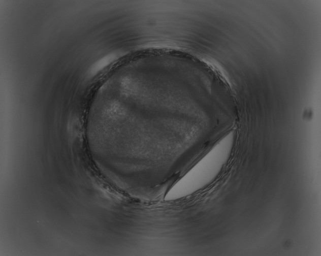 X0000095551064200801041326