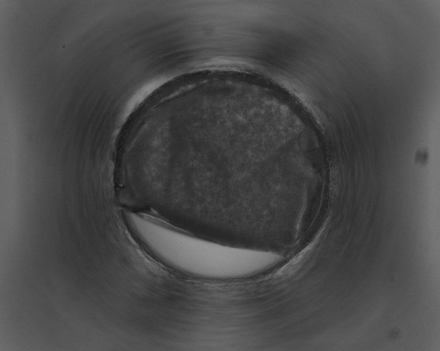 X0000095551066200801041326