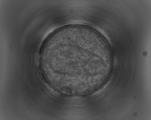 X0000095551067200801041326