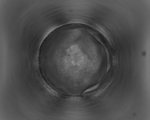 X0000095551068200801041326