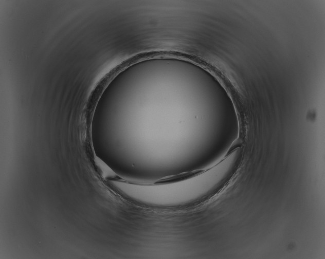 X0000095551069200801041326