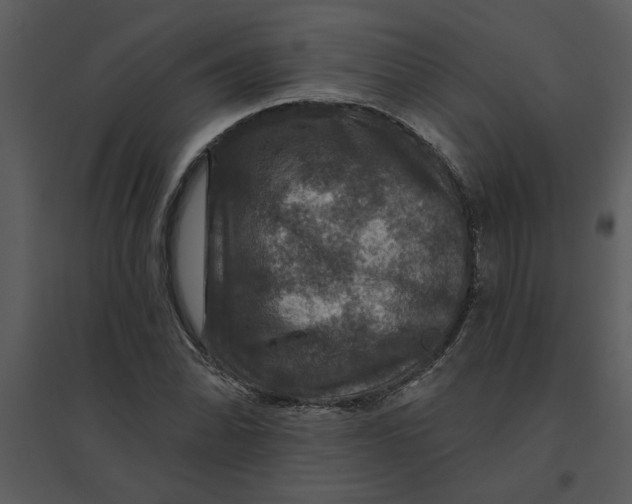 X0000095551070200801041326