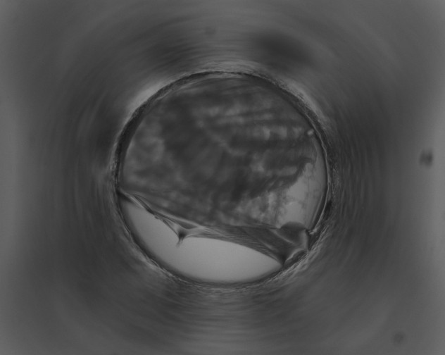 X0000095551071200801041326