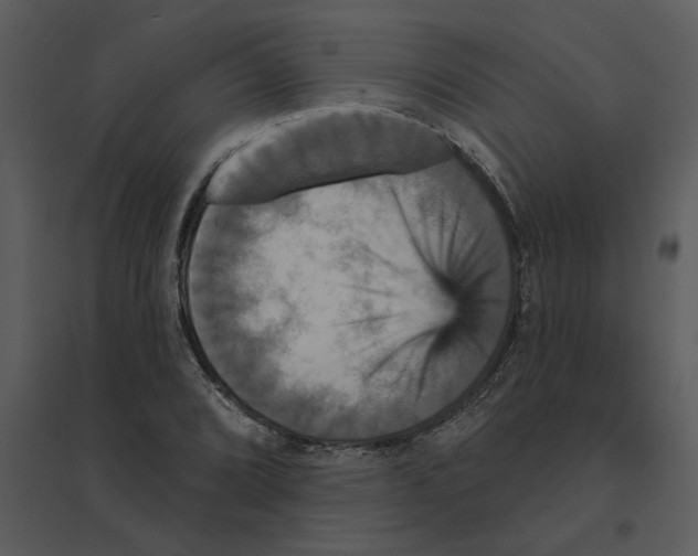 X0000095551072200801041326