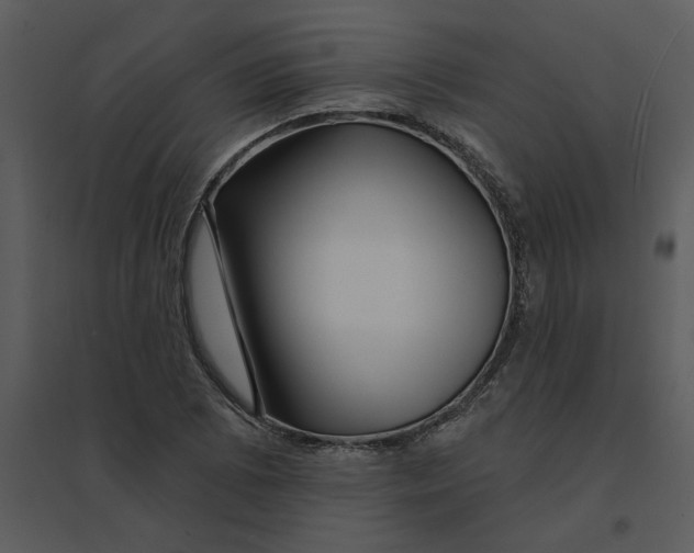 X0000095551073200801041326