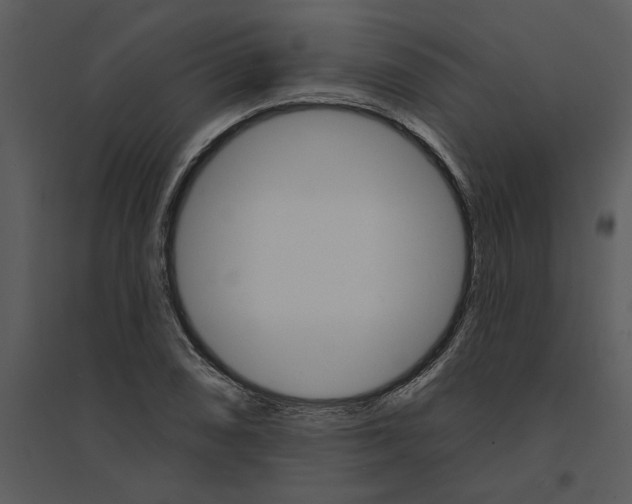 X0000095551074200801041326