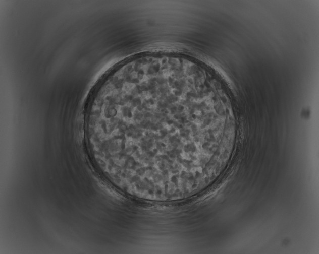 X0000095551075200801041326