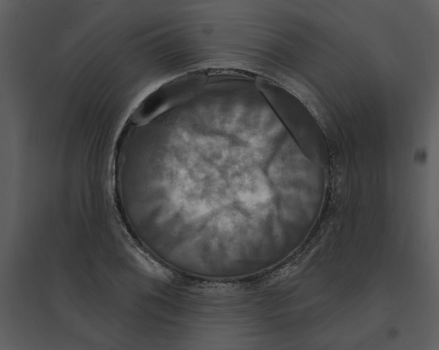 X0000095551076200801041326