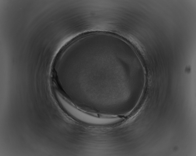 X0000095551077200801041326