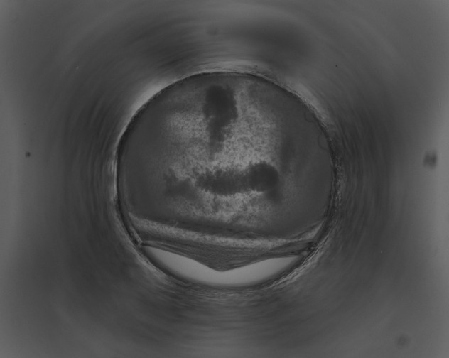 X0000095551079200801041326