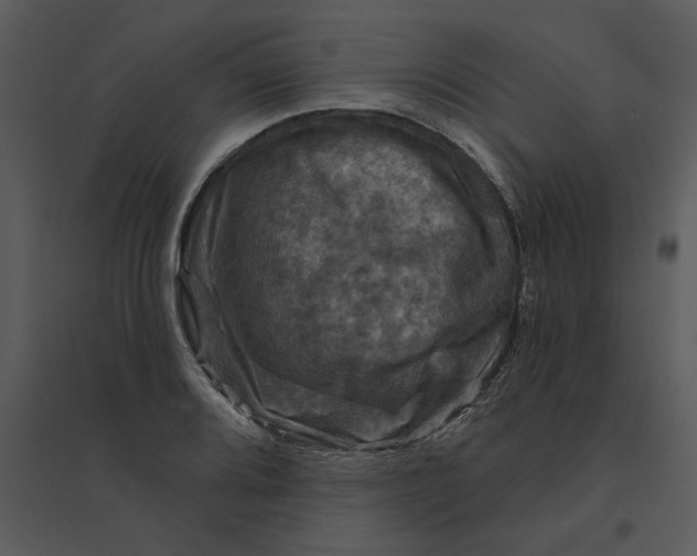 X0000095551080200801041326