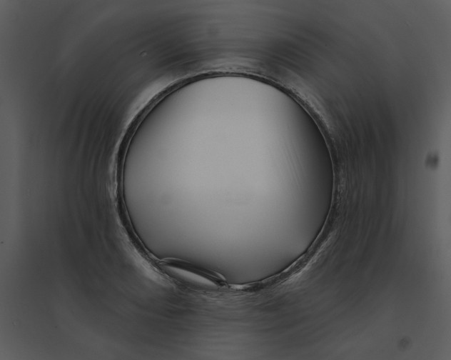 X0000095551082200801041326