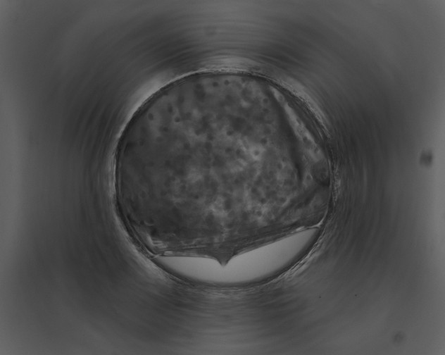 X0000095551083200801041326