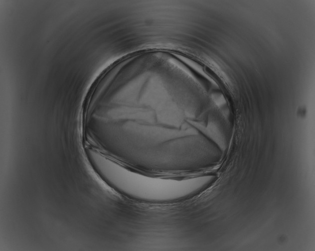 X0000095551084200801041326