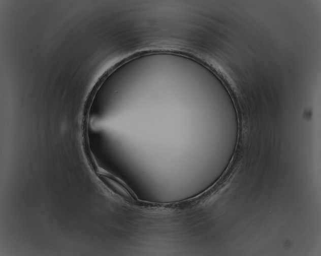 X0000095551085200801041326