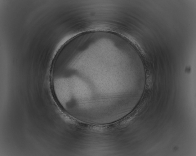 X0000095551086200801041326